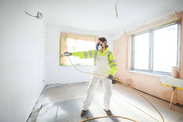 Best Biohazard Mold Removal  in Pocatello, ID