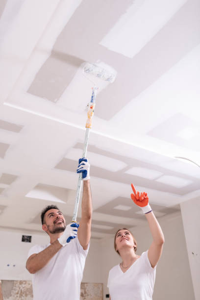 Best Industrial Mold Remediation  in Pocatello, ID