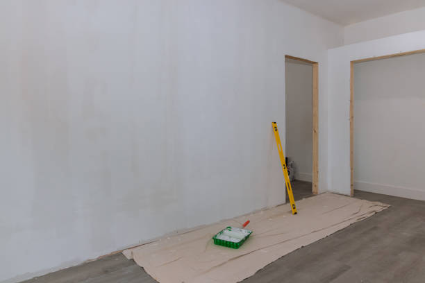 Best Post-Construction Mold Inspection  in Pocatello, ID