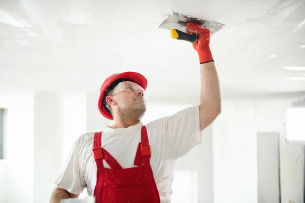 Best Basement Mold Removal  in Pocatello, ID