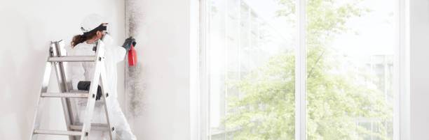 Best HVAC Mold Inspection and Cleaning  in Pocatello, ID