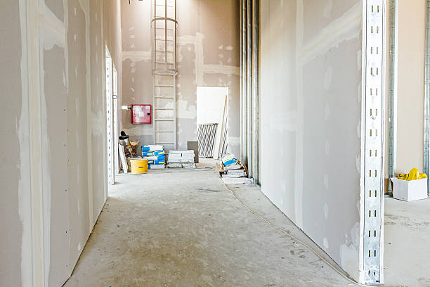 Best Emergency Mold Remediation  in Pocatello, ID